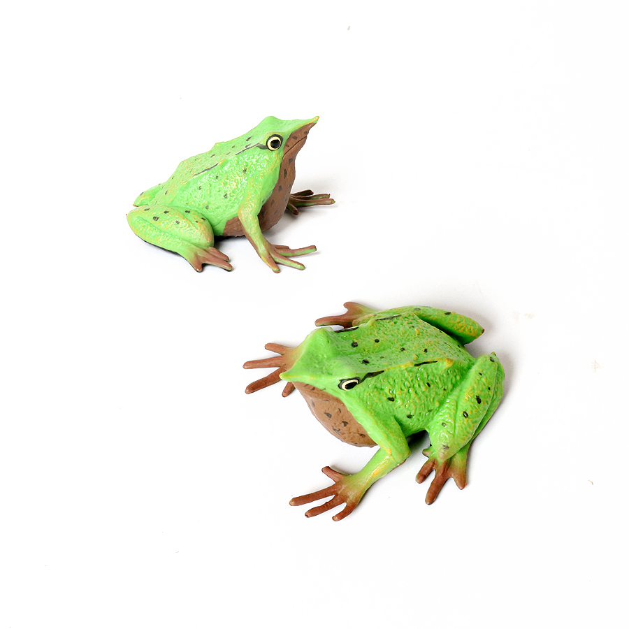 Rainforest Animals Frogs Figur - Kids Toys Reviews 评论和价格