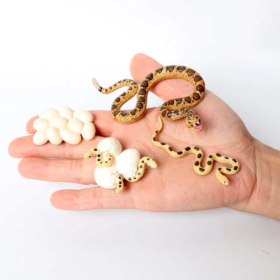 Snakes Figures Python Krait Co - Kids Toys Reviews 评论和价格