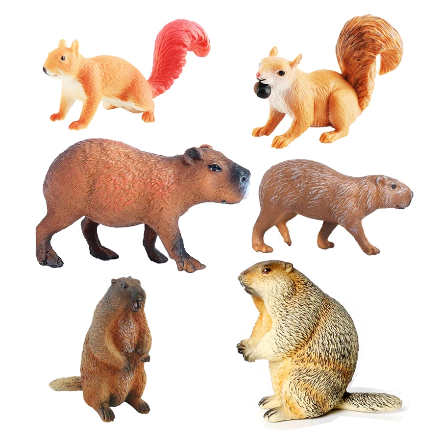 Capibara Capybaras Squirrel Ma - Kids Toys Reviews 评论和价格