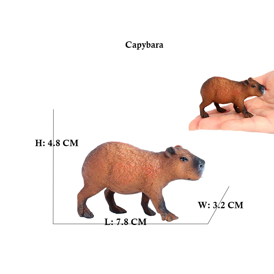 Capibara Capybaras Squirrel Ma - Kids Toys Reviews 评论和价格