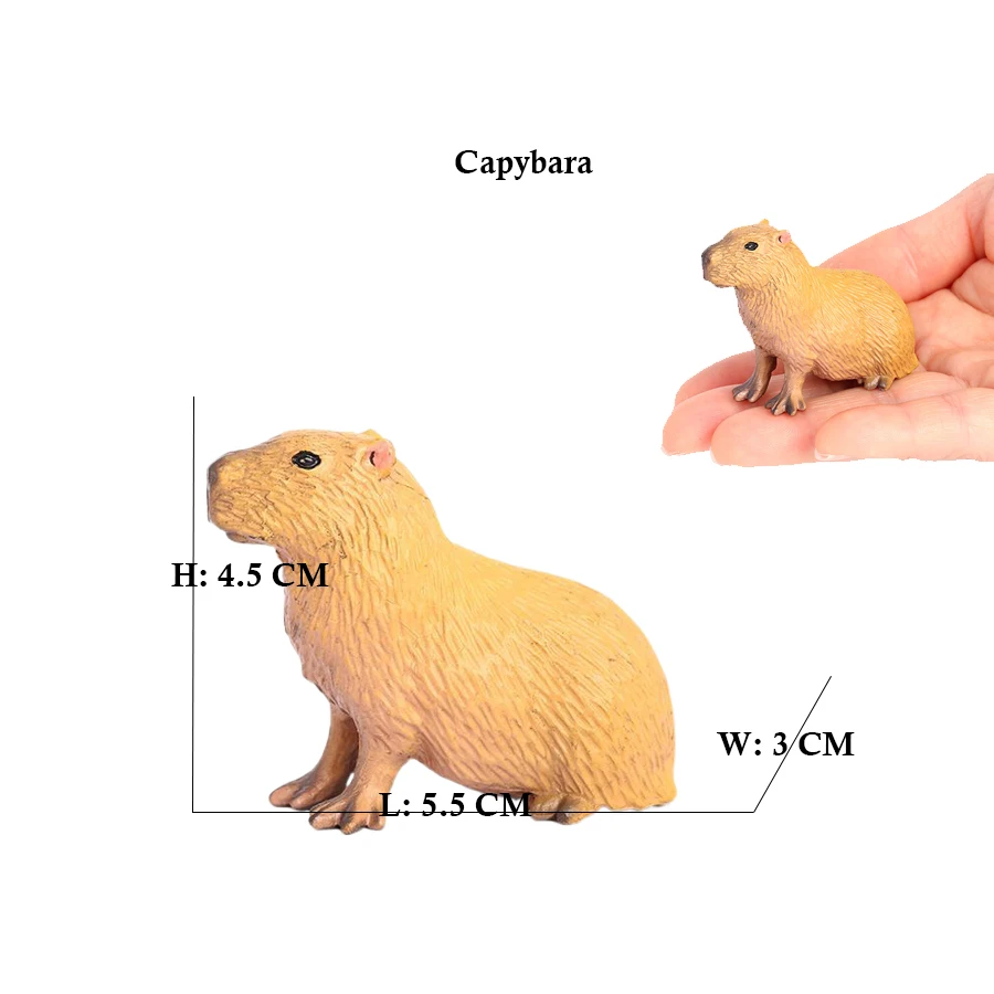 Capibara Capybaras Squirrel Ma - Kids Toys Reviews 评论和价格