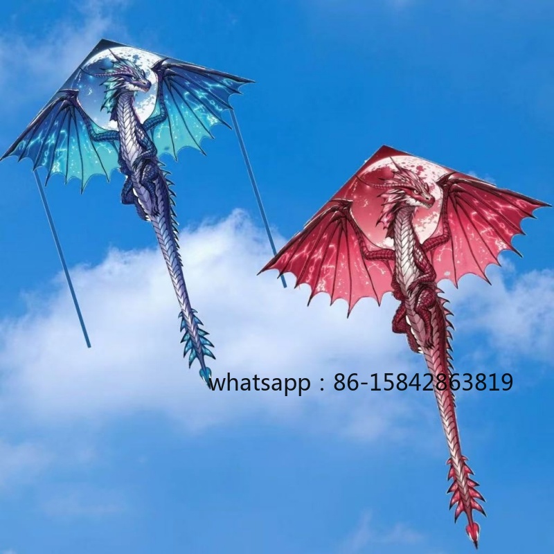 New pterosaur kites flying pro - Kite Wind Outdoor 评论和价格