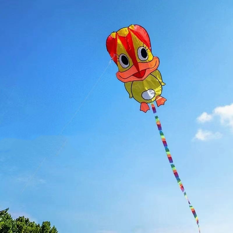 Inflatable kites Duck kites fl - Kite Wind Outdoor 评论和价格