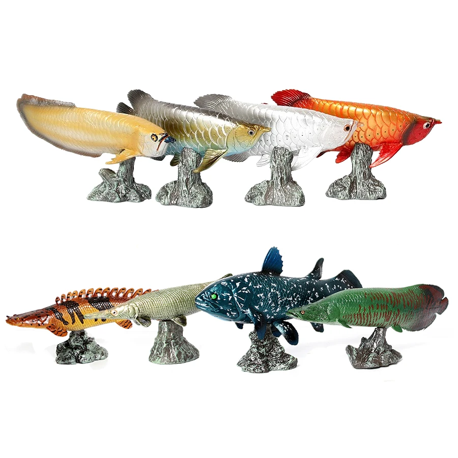 Arowana Pirarucu Coelacanth Bi - Kids Toys Reviews 评论和价格