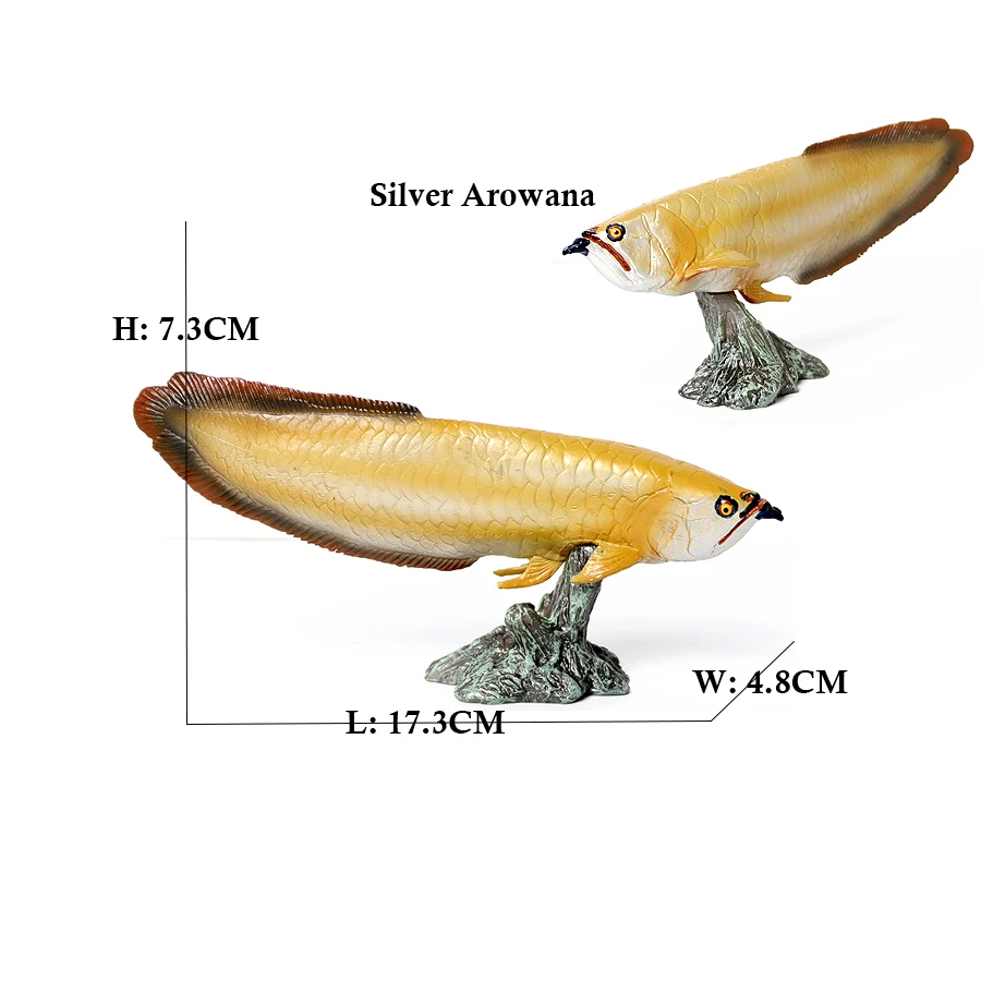 Arowana Pirarucu Coelacanth Bi - Kids Toys Reviews 评论和价格