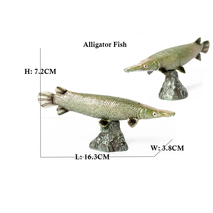 Arowana Pirarucu Coelacanth Bi - Kids Toys Reviews 评论和价格