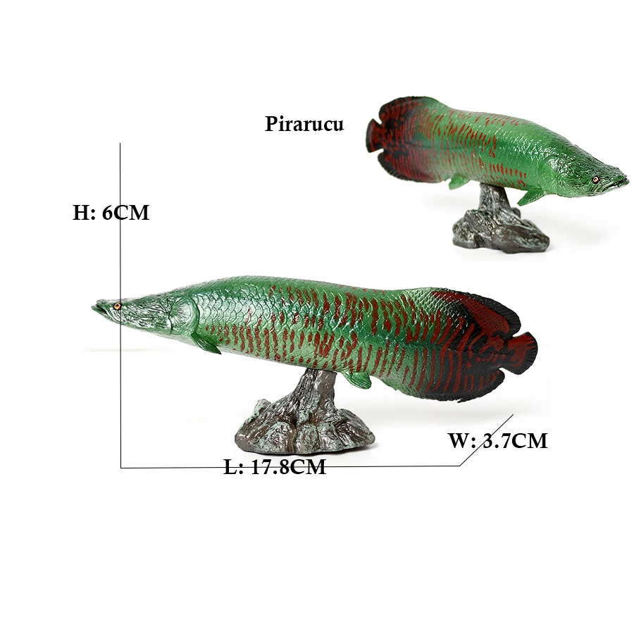 Arowana Pirarucu Coelacanth Bi - Kids Toys Reviews 评论和价格