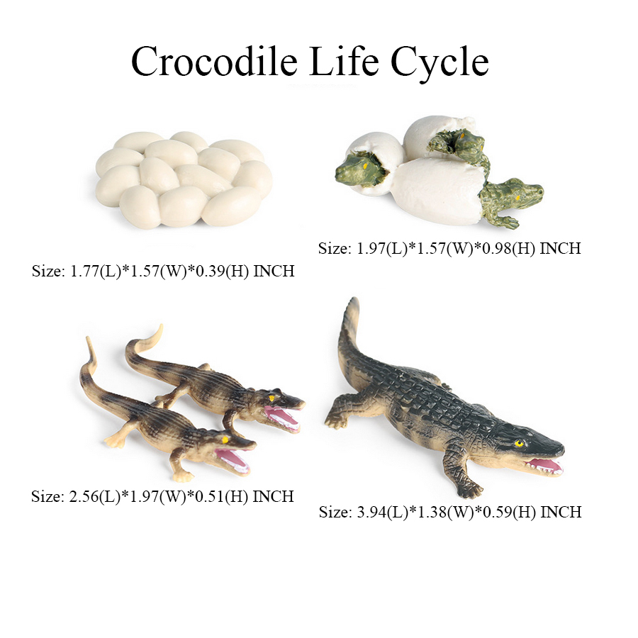 Toy of crocodile Figure Toys A - Kids Toys Reviews 评论和价格