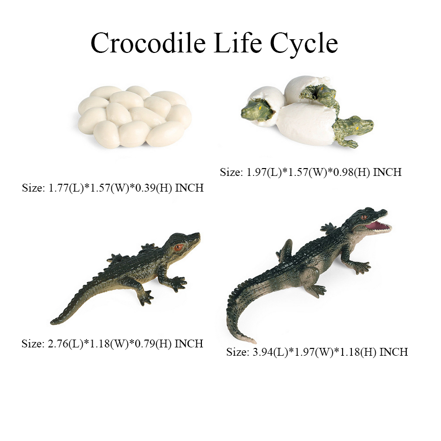 Toy of crocodile Figure Toys A - Kids Toys Reviews 评论和价格