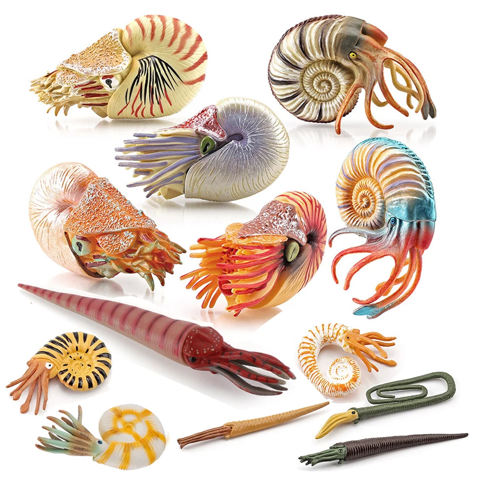 Marine Toy Animals Nautilus Fi - Kids Toys Reviews 评论和价格